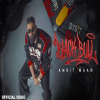 Black Bull - Amrit Maan