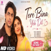 Tere Bina Yeh Dil - Gaurav Mali