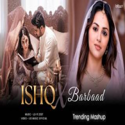 Ishq X Barbaad (Lo-fi) - Mashup Mp3 Song