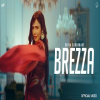 Brezza - Shiva Choudhary
