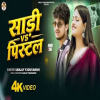 Sari Vs Pistol - Sanjay Yaduvanshi