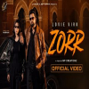 Zorr - Lovie Virk