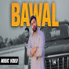Bawal - DhiruMonchik